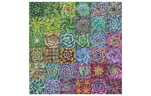 Succulent Spectrum 500 Piece Jigsaw Puzzle