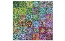 Succulent Spectrum 500 Piece Jigsaw Puzzle