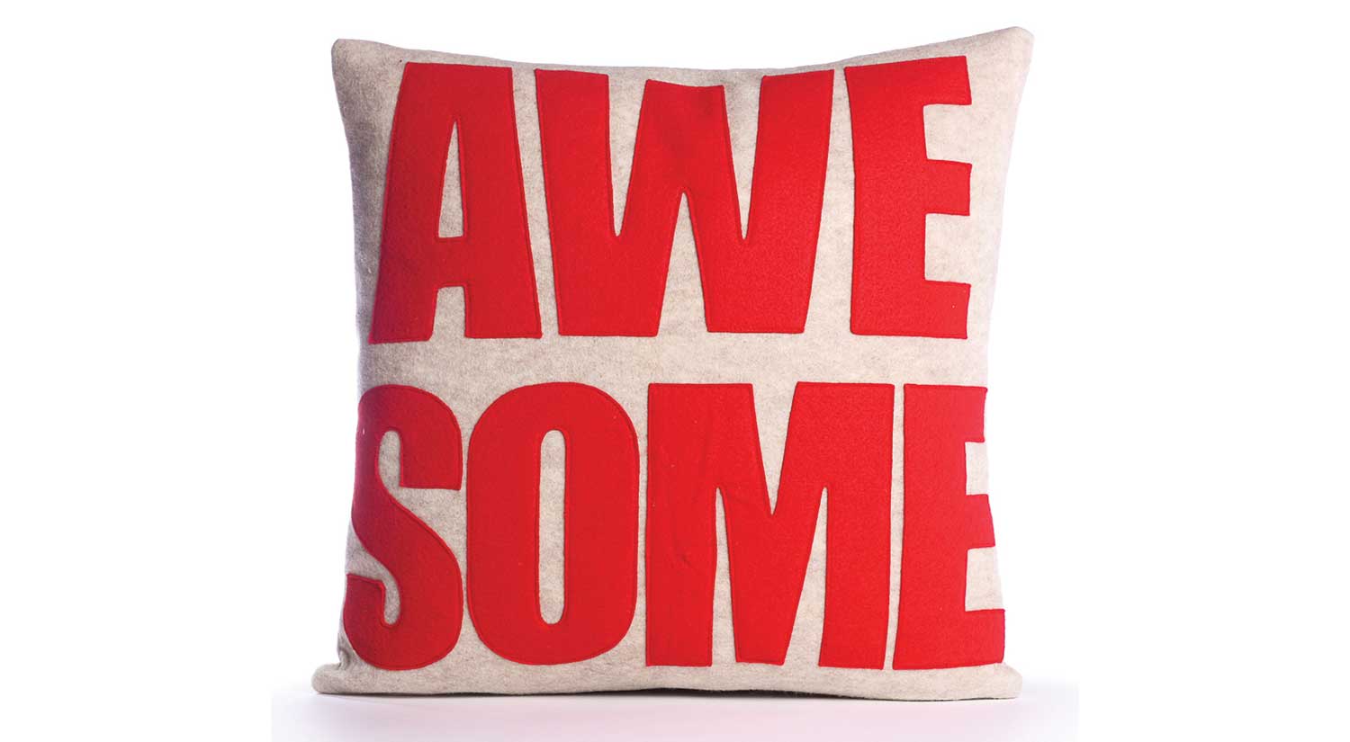Awesome Pillow