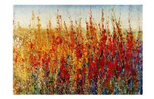 Wildflower Canvas