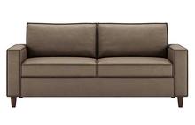 Mitchell Comfort Sleeper