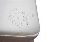 Comfort Sleeper Mattress Protector