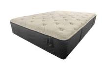 Willow Latex Plush Hybrid Mattress