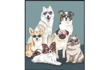 Fashion Dogs I