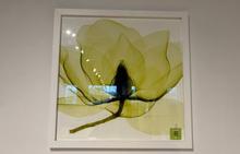 Hand Picked Lime Wall Art