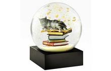 Cat on Books Snow Globe