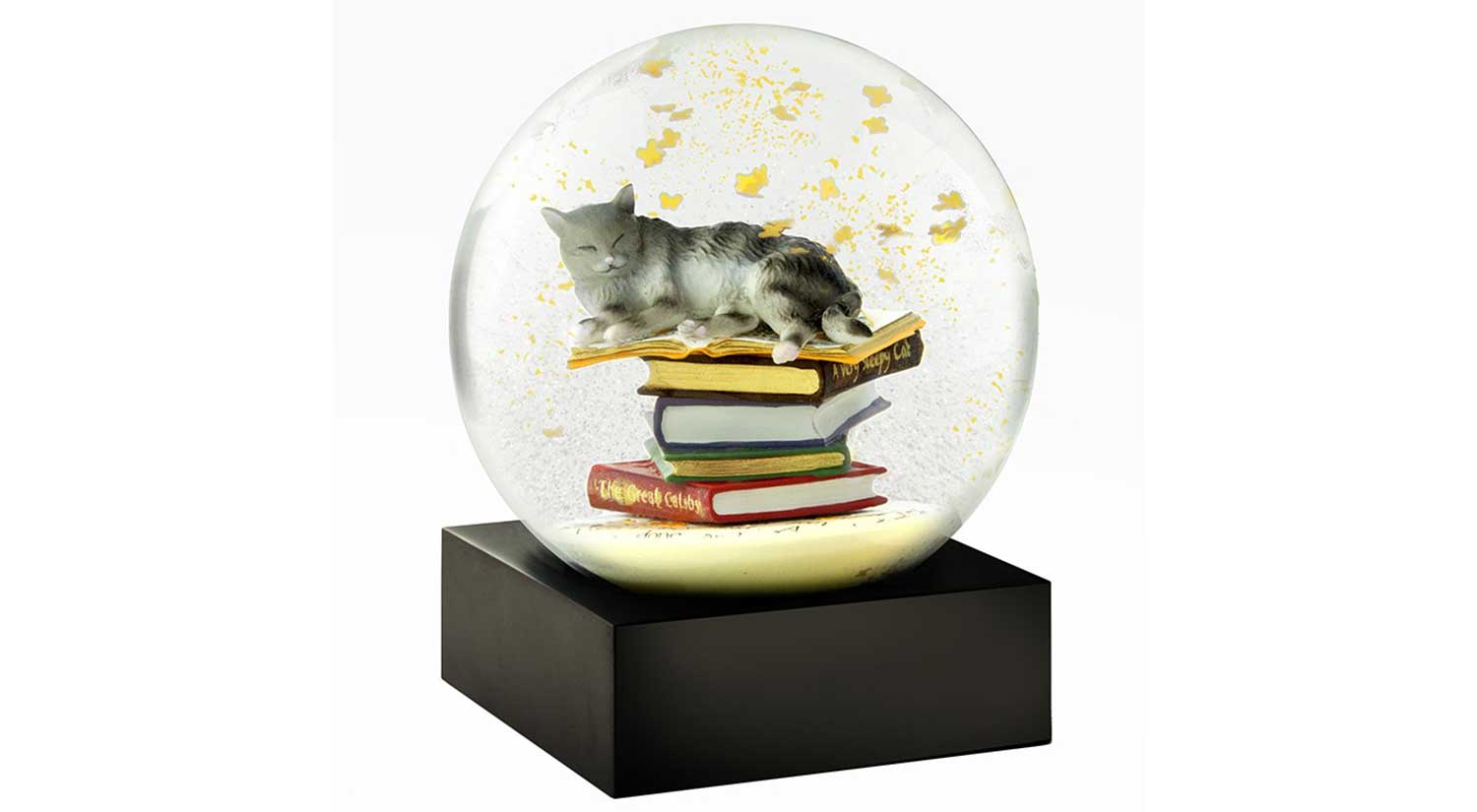 Cat on Books Snow Globe