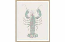 Aruba 7 - Green Lobster