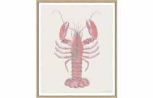 Aruba 4 - Pink Lobster - Special Order