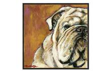 Bull Dog Canvas