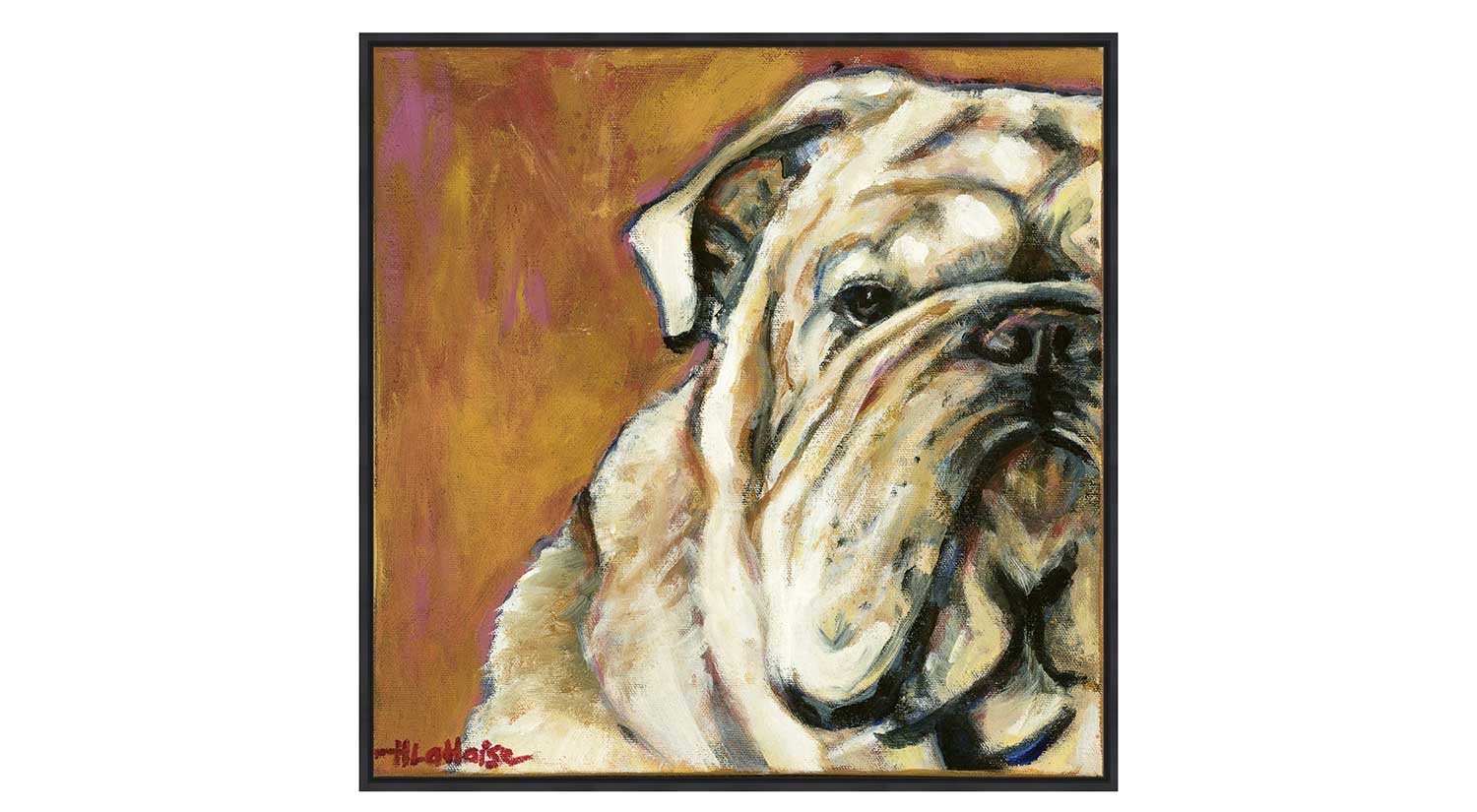 Bull Dog Canvas