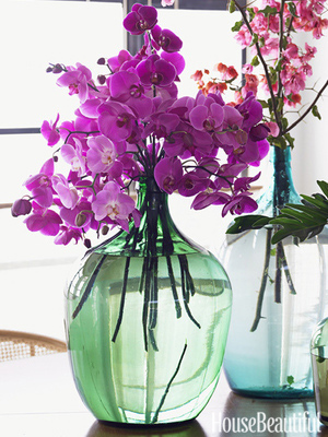 hbx-orchid-close-medium_new2